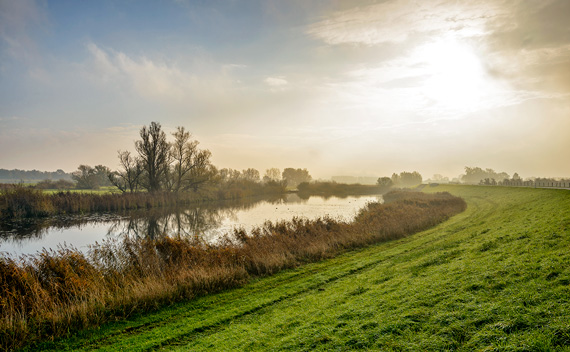 levee remediation